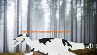 решил сделать от скуки вопрос ответ:_
