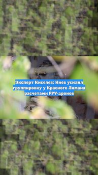 Эксперт Киселев: Киев усилил группировку у Красного Лимана расчетами FPV-дронов