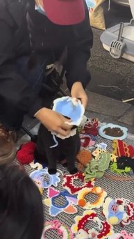 Лучшая работа в мире
