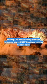 Риттер: на место отступающих элитных частей ВСУ бросают солдат теробороны