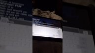 1000008651.mp4