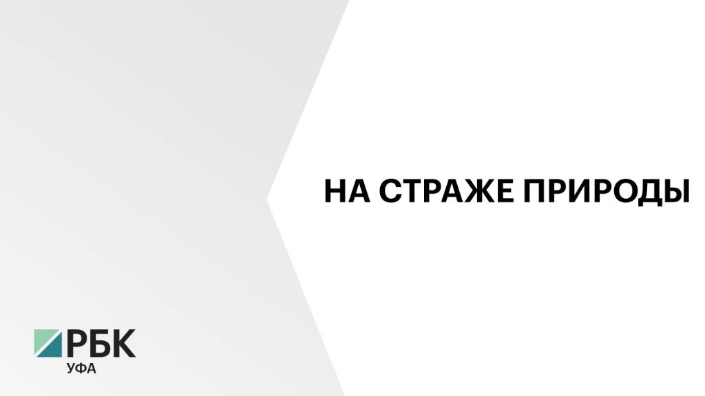В Башкортостане выявили 2,8 тыс. нарушений природоохранного законодательства за 2024 г.