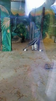 Очень Прикольный