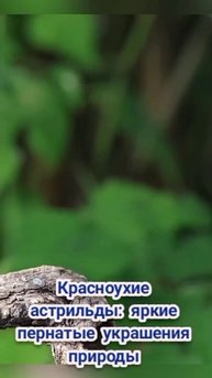 YouCut_20251028_035648190.mp4