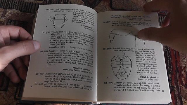 "Карманный атлас-определитель двукрылых" (В. Яворек, 1967)