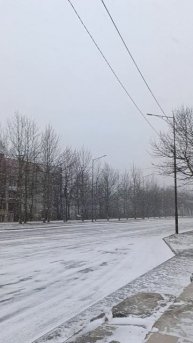 Камчатка пуржит