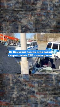На Камчатке завели дело после смертельного ДТП с автокраном