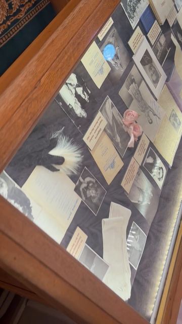 Белый зал Мариинского театра откуда входят в Царскую ложу