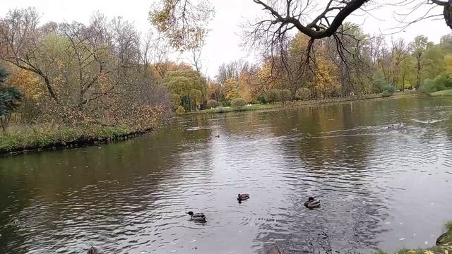 ЕКАТЕРИНГОФ. ПОСЛЕДНИЕ КРАСКИ ОСЕНИ.