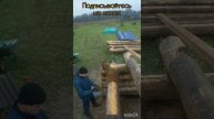 Правильная укладка моха в сруб.