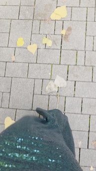 кеды беды