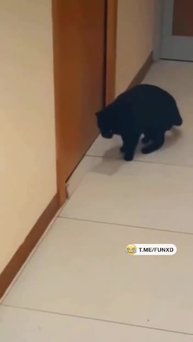 Лучший охотник😁