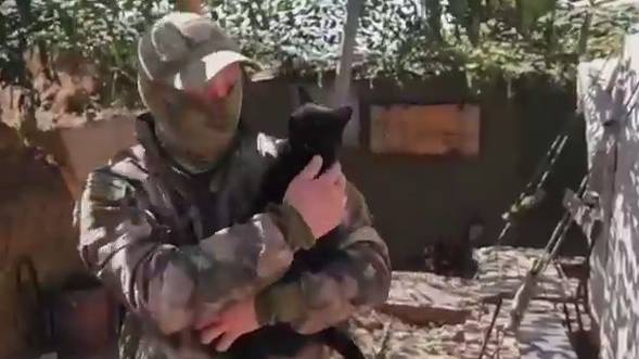 480p_Командир_с_усами_первый_на_СВО_кот_офицер