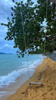 Welcome to Samui island