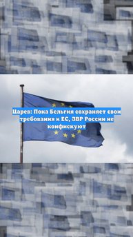 Царев: Пока Бельгия сохраняет свои требования к ЕС, ЗВР России не конфискуют