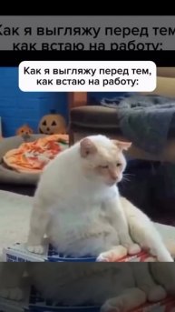 1000005694.mp4