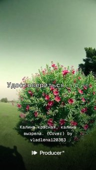 Калина красная, калина вызрела.. (Cover) - нейро вокал