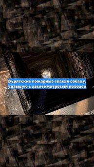 Бурятские пожарные спасли собаку, упавшую в десятиметровый колодец