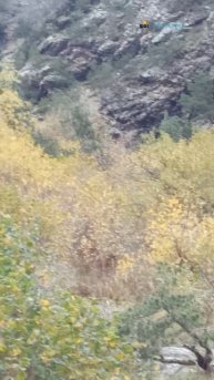 Водопад Байради. Осетия.