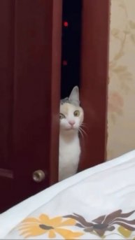 Он явно что-то задумал 😂