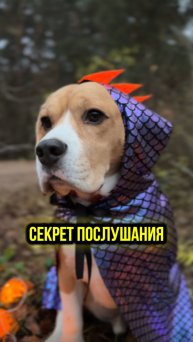 Всё легко и просто 😅