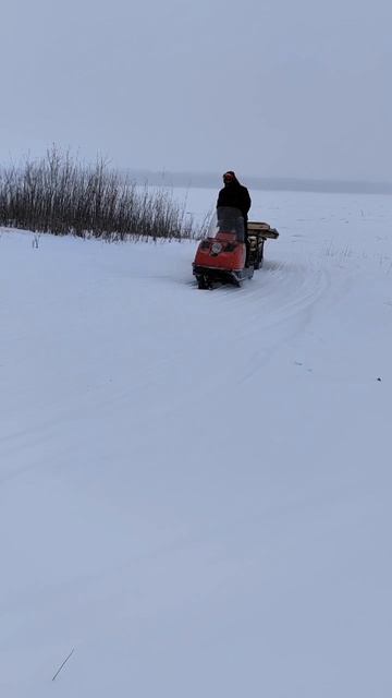 Снегоход Буран коротыш тащит груз