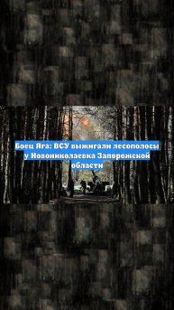 Боец Яга: ВСУ выжигали лесополосы у Новониколаевка Запорожской области