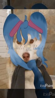 //Почему все молчат что Мику не была в ККББП?