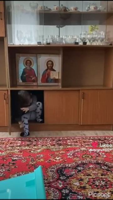 мои красавцы