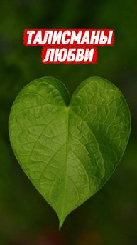 💚Немного зелени и любовь уже в воздухе!