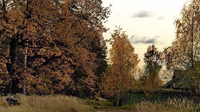 "ЗАГРУСТИЛА ОСЕНЬ"... (Фото Игоря БАРАНОВА (Рязань), музыка - Luis BERRA (Германия))