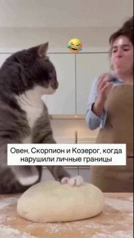 Овен Скорпион Козерог когда нарушили его границы