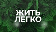 Узаконить профессию "мама" хотят в России. Жить легко. 28/10/2025. GuberniaTV