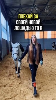 Я поехаю, а вы?