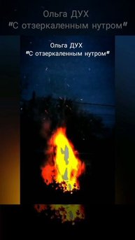 Ольга ДУХ "Твари с отзеркаленным нутром"