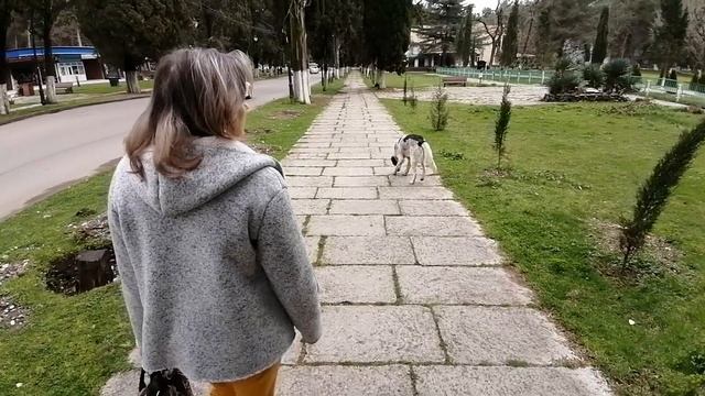 Пицунда. Самшитовая роща.mp4