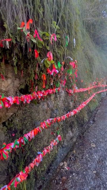 Абхазия, водопад Девичьи Слёзы сегодня (конец октября, ОСЕНЬ-2025)