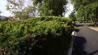 Сквер Тихоокеанский в ЗАТО Фокино