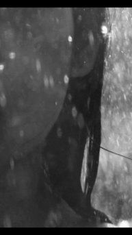 Listen to the Rain