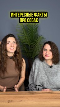 Подписывайся ❤️