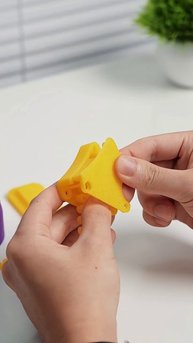 Такую прелесть каждому в дом!