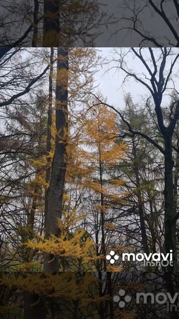 Осень в Ботаническом саду.