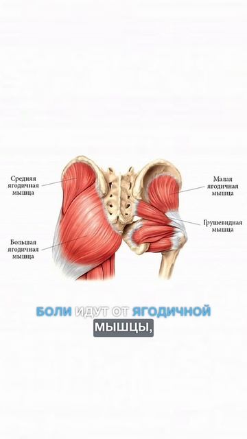 Боль в коленях
