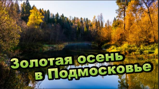 Золотая осень в Подмосковье!