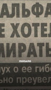 «Люди А. Ожившая история» Документальный кинопроект, где мы собираем истории офицеров Группы «Альфа»