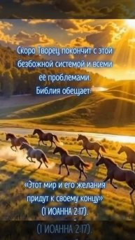 video_10927152239986.mp4