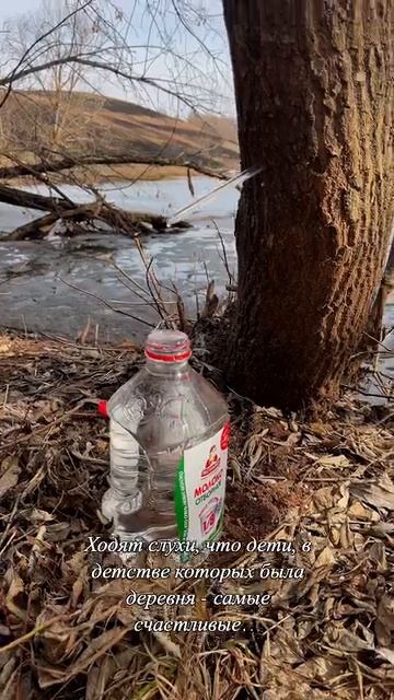Есть такое?