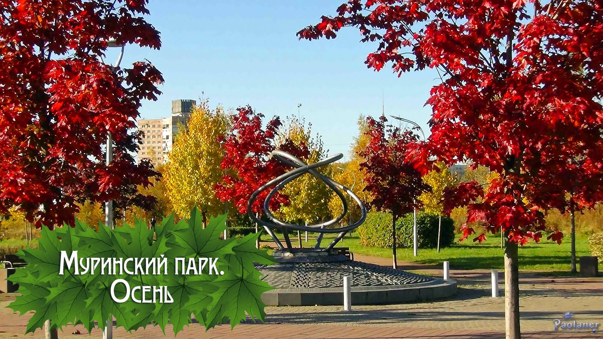 Муринский парк. Осень (2025)