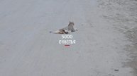 5000 счастья