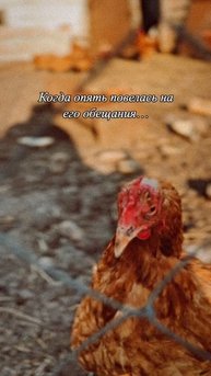 А ты не ведись🤭